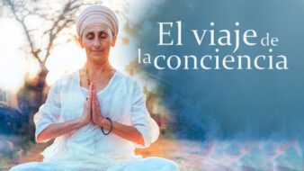 Curso + Manual: El viaje de la consciencia