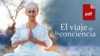 Manual: El viaje de la consciencia